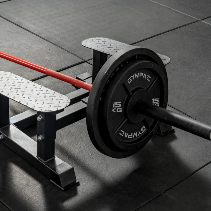 5 拷贝 GFO01 Cast Iron Olympic Plates
